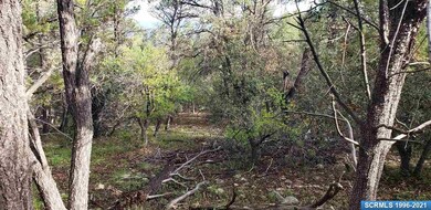 72x Joseph Blane Rd, Silver City, NM 88061 - photo 5