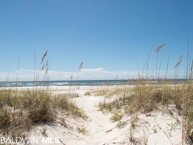 Through the sea oats, over the dune, take this path to the beach.
