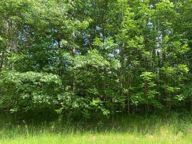 TBD 63rd Ave NW, Walker, MN 56484 - photo 4