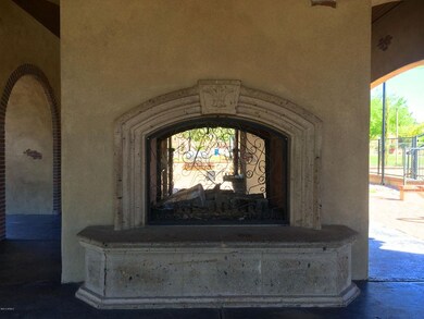 Clubhouse Fireplace