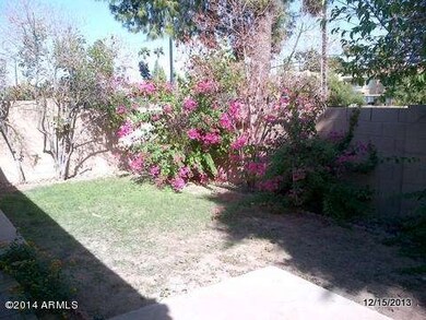 BACKYARD2
