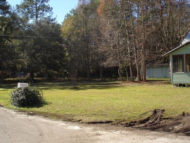 10772 Arnez Rd, Jacksonville, FL 32218 - photo 4