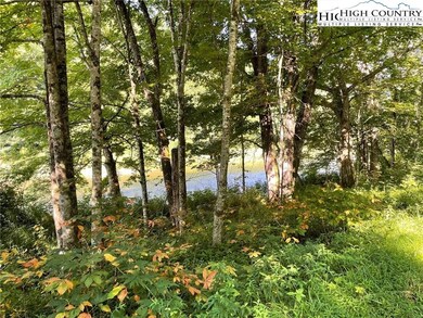 LARGE AREA ON RIVER FOR PICNIC AREAS, KAYAK STORAG