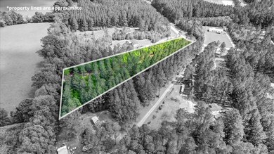 0 Loblolly Ct unit 147244, Newington, GA 30446 - photo 4