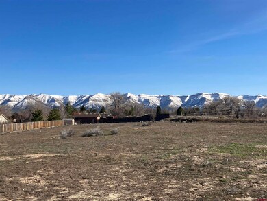 2155 Tucker Ln, Cortez, CO 81321 - photo 2