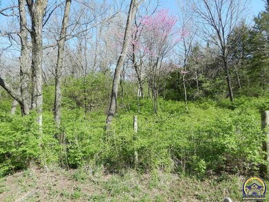 7500 SW 10th Ave, Topeka, KS 66615 - photo 6