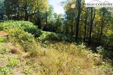 Lot 28 Yonahlossee Trail, Blowing Rock, NC 28605 - photo 7