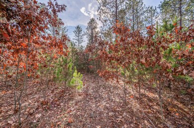 8077 W 8 Mile Rd, Irons, MI 49644 - photo 4