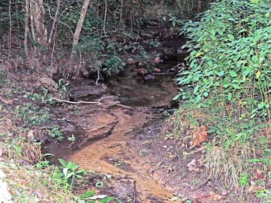 0 Colyer Rd, Greeneville, TN 37743 - photo 5