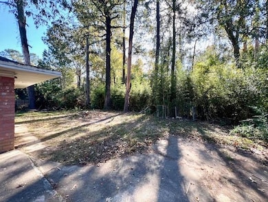 13338 E Shamrock Ave, Baton Rouge, LA 70814 - photo 3