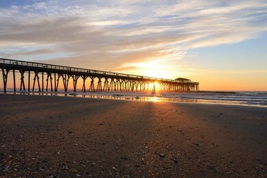 2904 Green Pond Cir, Conway, SC 29527 - photo 4