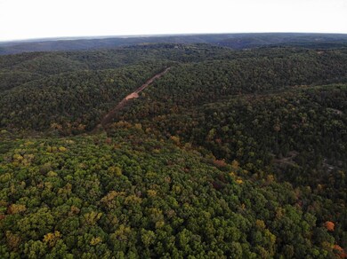 000 Red Oak, Kimberling City, MO 65686 - photo 6