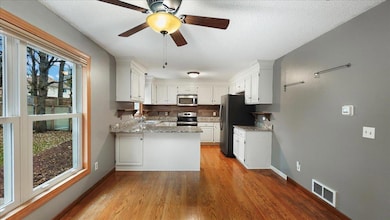 13025 Linnet St NW, Coon Rapids, MN 55448 - photo 6