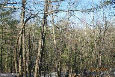 767 Straton Way, Basye, VA 22810 - photo 3