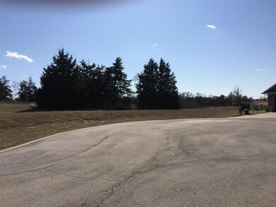 TBD L11 Meridian Ln, Gordonville, TX 76245 - photo 7