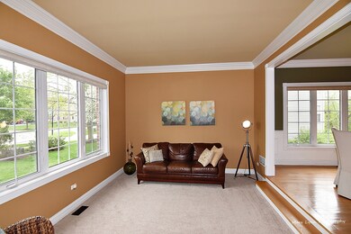 1035 Hodge Ln, Batavia, IL 60510 - photo 6