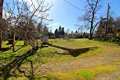 IMG_3998