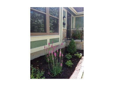 Lush garden beds.