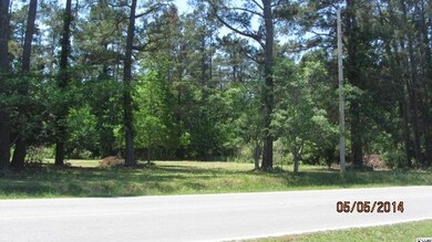 0 Oak St, Conway, SC 29526 - photo 3