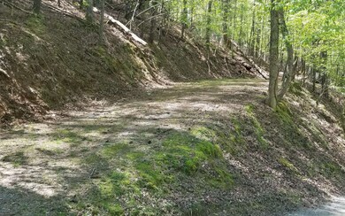 Additional View
