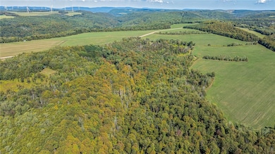 10373 Lookout, Prattsburgh, NY 14873 - photo 4