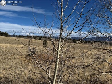 381 Remington Rd, Jefferson, CO 80456 - photo 3