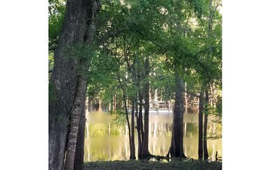 726 SW Santa fe Dr, Fort White, FL 32038 - photo 3