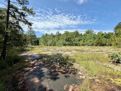 001-01049-000 Cr 128, Calico Rock, AR 72519 - photo 2