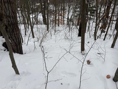 9861 E School Section Lake Dr, Morton Township, MI 49332 - photo 2