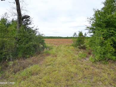 00 Glenmore Ct, Marianna, FL 32446 - photo 4