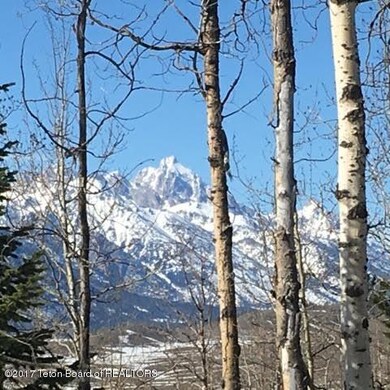 Close up Grand Teton view