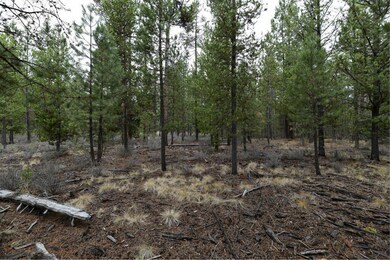 56607 Celestial Dr, Bend, OR 97707 - photo 3