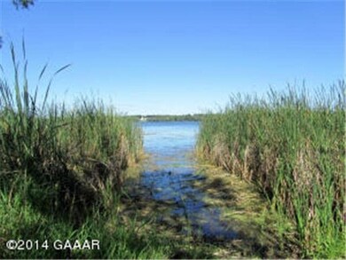 12242 W Lake Leven Rd, Villard, MN 56385 - photo 4