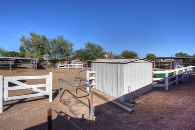 Shared Horse Area
