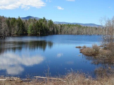 0 Fernalds Hill unit 1375128, Stow, ME 04037 - photo 4