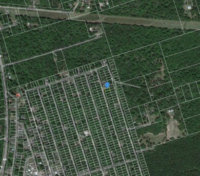 0 Chicopee Rd unit 365262, Crawfordville, FL 32327 - photo 4