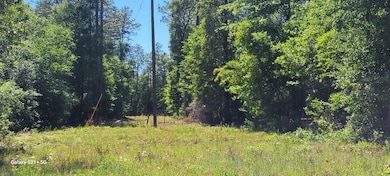Dell Rd, Bainbridge, GA 39819 - photo 2