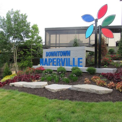 724 N Loomis St, Naperville, IL 60563 - photo 7