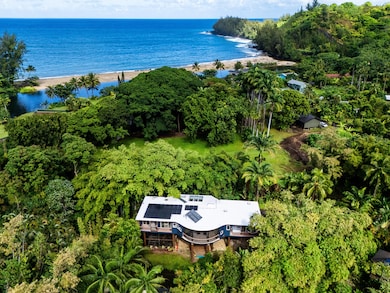 4558 Ananalu Rd, Hanalei, HI 96714 - photo 2