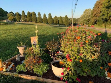 243444827_4990348647660376_4171030716712