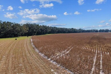 TBD NE 150th St, Trenton, FL 32693 - photo 6