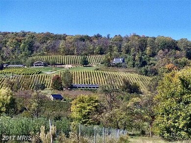 19190 Walsh Farm Ln, Bluemont, VA 20135 - photo 4