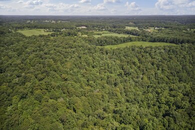 1 Creed Wright Rd, Walling, TN 38587 - photo 7