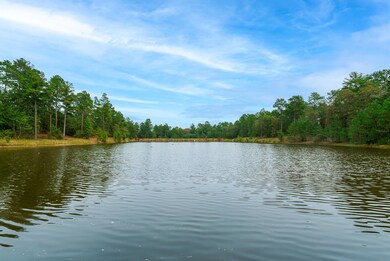 View from Dock