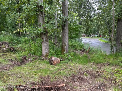 IMG_9034