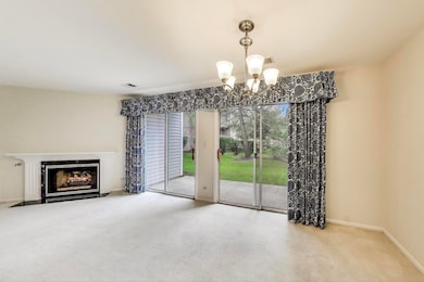 422 58th Place unit 7, Hinsdale, IL 60521 - photo 5