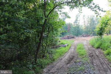 0 John Brown Farm Rd unit 1000308624, Harpers Ferry, WV 25425 - photo 7