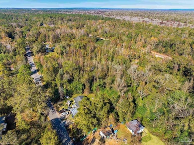 1100 McKinnonville Rd, Molino, FL 32577 - photo 4