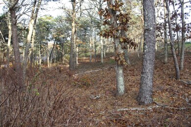 Joshua Jethro Land