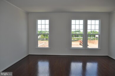 43311 Novi Terrace, Ashburn, VA 20147 - photo 5